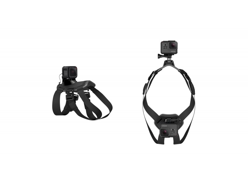 Gopro fetch 2025 dog harness