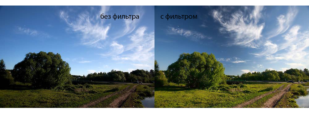 Блистающие облака паустовский. Пейзажи россии. Вечерний лес. Мещёра болота. Природа лучший фильтр.